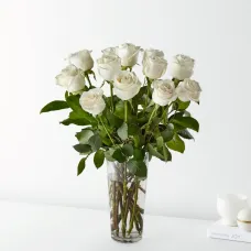 12 Long Stem White Rose Bouquet