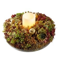 Living Succulent Wreath
