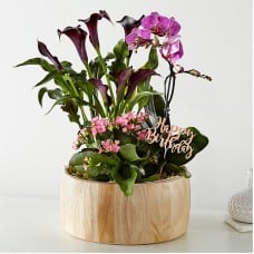 Happy Birthday Orchid Garden