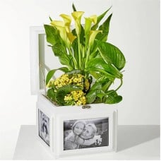 Sunshine Garden Keepsake Box