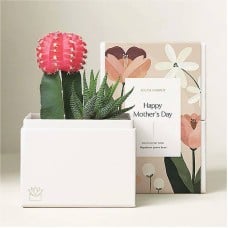 Lula's Rose Garden - Mother's Day (Rose Garden)