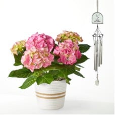 Pink Hydrangea and Love Blooms Windchime Gift Set