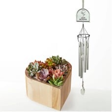 My Heart Succulent Garden and Love Blooms Windchime Gift Set