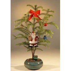 Norfolk Island Pine - With Decorations