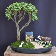 Baby Jade Bonsai Tree Farmyard Landscape Scene (Portulacaria Afra)