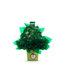 Sugar Free Peppermint Pattie Passion (Small)