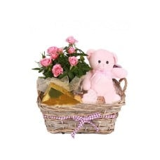Welcome Princess