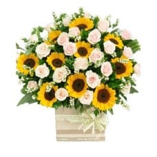 Blushing Sunflowers (Basic)