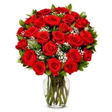 24 Red Roses in a Vase