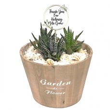 The Zebra Planter Gift