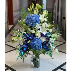 Beautiful Blue