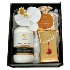 Women's Day Special
