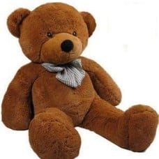 120 cm Teddy Bear