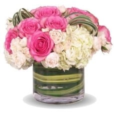Bright White & Pink Roses In A Vase