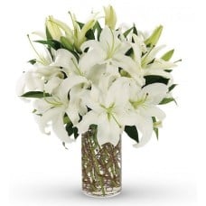 White Lilies In A Vase