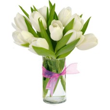 10 White Tulips