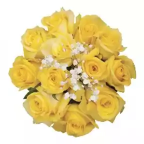 12 Yellow Ecuadorian Roses