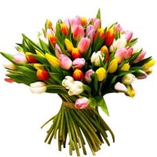 100 Tulips Giant Bouquet