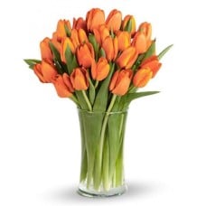 20 Orange Tulips Bouquet
