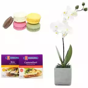 Orchid, Macarons and Cheese Package