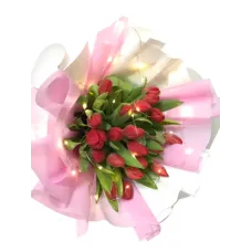 https://cdn11.bigcommerce.com/s-s00dfko9/images/stencil/{:size}/products/282/2328/tulips_with_fairy_lights__97751.1720276127.png?c=2