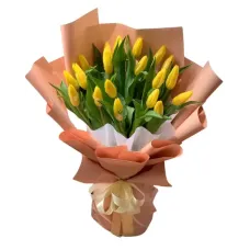https://cdn11.bigcommerce.com/s-s00dfko9/images/stencil/{:size}/products/294/2234/yellow_tulip__15715.1709815220.jpg?c=2