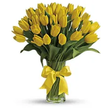 https://cdn11.bigcommerce.com/s-s00dfko9/images/stencil/{:size}/products/443/2169/30_yellow_tulips__45281.1629714714.jpg?c=2