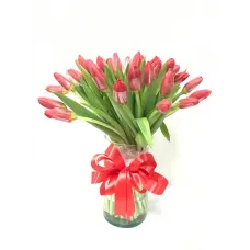 https://cdn11.bigcommerce.com/s-s00dfko9/images/stencil/{:size}/products/442/2487/30_red_tulips_bouquet_delivery_manila__65053.1709278971.jpg?c=2