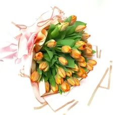 https://cdn11.bigcommerce.com/s-s00dfko9/images/stencil/{:size}/products/296/2221/30_orange_tulips_manila__74087.1730676552.jpg?c=2