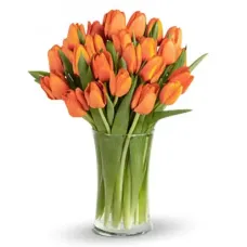 https://cdn11.bigcommerce.com/s-s00dfko9/images/stencil/{:size}/products/107/1833/orange_tulips_2__59607.1654848009.jpg?c=2
