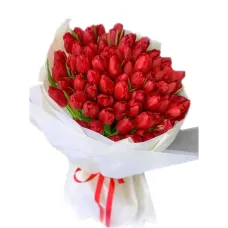 https://cdn11.bigcommerce.com/s-s00dfko9/images/stencil/{:size}/products/105/2523/40_Tulips_Giant_Bouquet_Manila__48960.1750900386.jpg?c=2