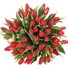 https://cdn11.bigcommerce.com/s-s00dfko9/images/stencil/{:size}/products/314/2522/50_tulips_giant_bouquet_Philippines__05984.1754374924.jpg?c=2