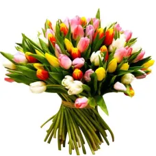 https://cdn11.bigcommerce.com/s-s00dfko9/images/stencil/{:size}/products/510/1626/giant_tulips_bouquet_manila__68599.1559277437.1280.1280__13634.1559289056.jpg?c=2