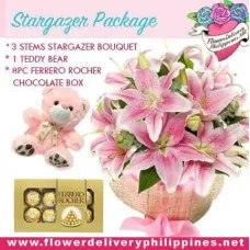 https://cdn11.bigcommerce.com/s-s00dfko9/images/stencil/{:size}/products/138/1411/Stargazer_Lilies_Chocolates_Teddy_Package_Manila__97132.1554753979.jpg?c=2