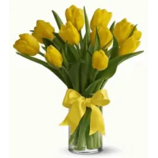 https://cdn11.bigcommerce.com/s-s00dfko9/images/stencil/{:size}/products/104/1829/yellow_tulips__06618.1597039271.png?c=2