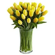 https://cdn11.bigcommerce.com/s-s00dfko9/images/stencil/{:size}/products/334/1811/18_tulips_yellow__65881.1588572265.jpg?c=2