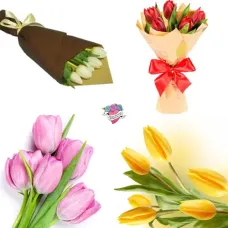 https://cdn11.bigcommerce.com/s-s00dfko9/images/stencil/{:size}/products/601/2303/tulips_philippines__58676.1668791944.png?c=2