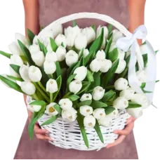 https://cdn11.bigcommerce.com/s-s00dfko9/images/stencil/{:size}/products/632/2537/FLOWER_DELIVERY_PHILIPPINES_TULIPS__37178.1749183256.png?c=2