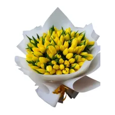 https://cdn11.bigcommerce.com/s-s00dfko9/images/stencil/{:size}/products/628/2543/40_yellow_Tulips_Delivery_Philippines__50641.1746639650.jpg?c=2