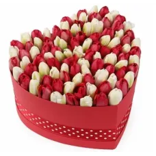 https://cdn11.bigcommerce.com/s-s00dfko9/images/stencil/{:size}/products/613/2424/Tulips_Heart_Box_Manila_Philippines__46168.1698147263.jpg?c=2