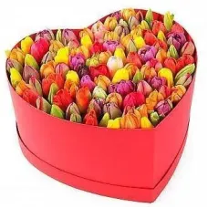 https://cdn11.bigcommerce.com/s-s00dfko9/images/stencil/{:size}/products/295/1912/assorted_tulips_heart_box__09718.1597072793.jpg?c=2