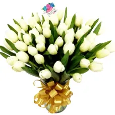https://cdn11.bigcommerce.com/s-s00dfko9/images/stencil/{:size}/products/474/1578/50_white_tulips_manila__74495.1559288581.jpg?c=2