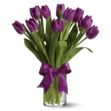 https://cdn11.bigcommerce.com/s-s00dfko9/images/stencil/{:size}/products/106/1830/violet_tulips__26841.1589759907.png?c=2