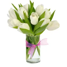 https://cdn11.bigcommerce.com/s-s00dfko9/images/stencil/{:size}/products/100/2183/10_white_tulips_manila__91066.1740480386.jpg?c=2