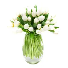https://cdn11.bigcommerce.com/s-s00dfko9/images/stencil/{:size}/products/467/1842/30_holland_tulips_manila__95141.1590609271.jpg?c=2