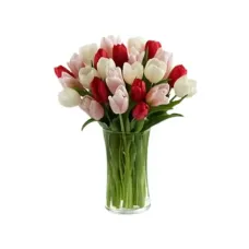 https://cdn11.bigcommerce.com/s-s00dfko9/images/stencil/{:size}/products/212/2063/tulips_assorted__85496.1621518122.jpg?c=2