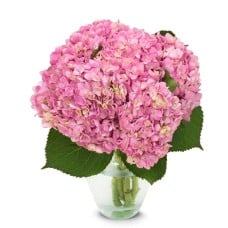 Best Seller! Pink Stargazers, Red And Pink Roses, Gerberas And Peruvian Lilies
