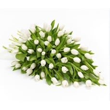 Sympathy Funeral Beauty Tulips Posy (30 Tulips)