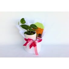 Botanic Bliss