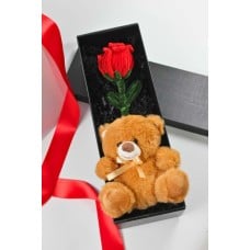 Forever Bear Gift Box